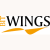 BW Logo ohne IT 195x73