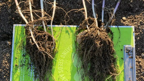 thumbnail PHOTO 2025 05 11 19 23 36