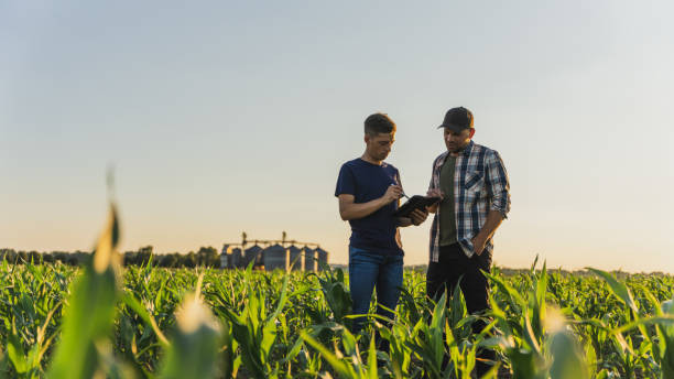 istockphoto 1451084434 612x612