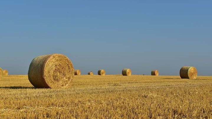 Stroh am Feld