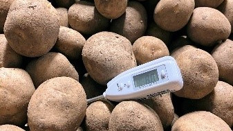 Bild Thermometer in Kartoffel